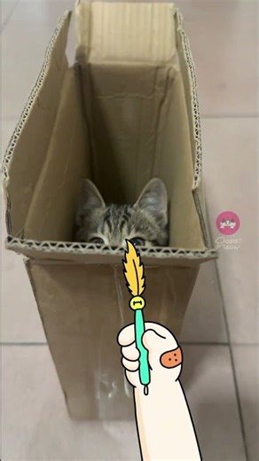 This Little Hand Is Back With More Mischief 😹✏️ #funnycats #cutecat #catdoodles #oopsmeow