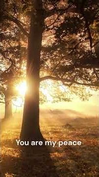 Be Still… You Are God | Short Worship Prayer #bibleverse #christianmusic #worshipmusic