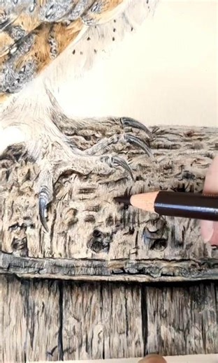 owl pencil ✏️ colour sketch #art #artscraft #drawing #viralvideo #watercolours