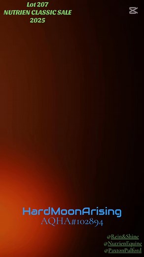 🔥Lot 207🔥 HARDMOONARISING | Rossiter Family Performance Horses