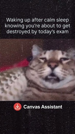 Canvas Assistant: download lectures directly from Canvas #study #uni #university