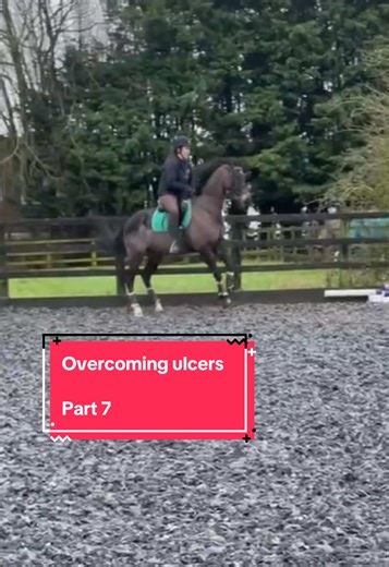 Managing an unhappy horse when you don’t know what’s wrong with them on top of being postpartum is not an easy feat 🥺 Wearing a beautiful outfit from @Amiko & Friends (gifted). Leo is in the Amiko show rug, I am in the Pomme Nellie Classic breeches & Amiko Gustav half zip 🤎 Use code ‘LIVINGLIFEWITHLEO’ for €10 off your first order