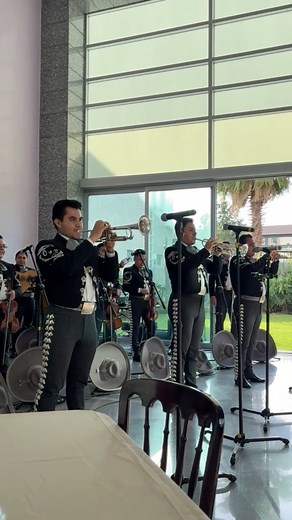 Mariachi Oro y Platino de Alberto Alfaro 🎺🎺🎺 | Los mejores músicos de Mariachi