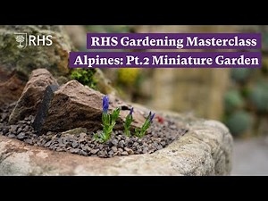 How to plant up a miniature garden | RHS Gardening Masterclass: Alpines Pt.2 | The RHS