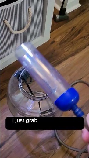 How to clean your betta fish tank