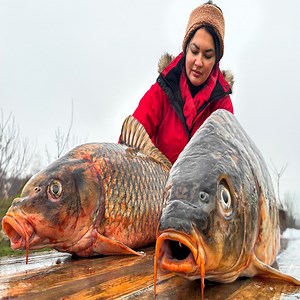 13M views · 312K reactions | We Tried Two Recipes on Fish Giants | Fast Cooking | Facebook