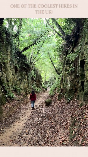 Alice | Travel Blogger & Photographer on Instagram: "✨One of the coolest hikes we’ve done this year! 👇 Don’t miss this hidden gem in Dorset. 🥹 So many people visit Dorset just to go to the coast, but there’s so much more to this county. The countryside is just as beautiful.🌲 These roads are over 300 years old and exploring them was one of our favourite things to do in Dorset this year. 🙌 This entire loop took us around an hour and a half, but you’ll probably be stopping quite a lot to take p