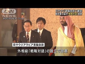 日サウジ首脳会談で確認 脱炭素で協力「戦略対話」設置(2023年7月17日)