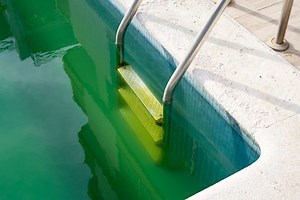Algen im Pool entfernen – So geht‘s