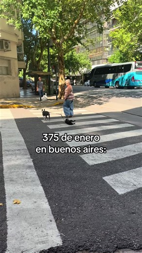 Video de cami solfer 🌞 (@solfer_) relacionado con “buenos aires”