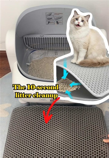 Upgrade Your Cat's Litter Experience with a Litter Mat