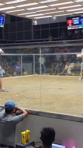 134K views · 2.5K reactions | A well pointed rooster will only stop when it's dead, as long as it's alive it will keep fighting... | Dwin Gabs | Facebook