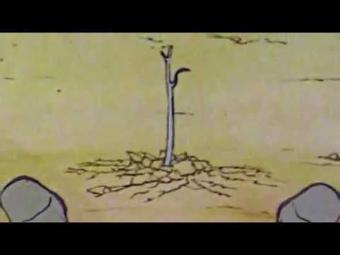 L'aventure des plantes - générique