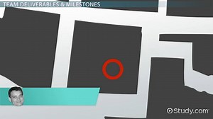 Team Process & Performance in Organizations