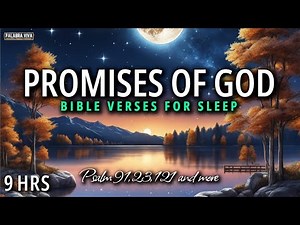 The Most Powerful Verses From the word of God | Bible reading | 12 HRS