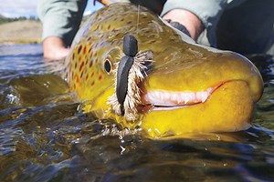 Fly Fishing Crane Flies, Damselflies, and Mice - Fly Fisherman