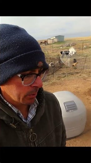 This Was a Hard Day on the Homestead