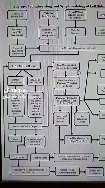 Understanding Left-Sided Heart Failure Pathophysiology