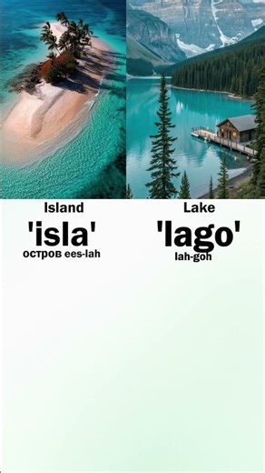 This project aims to help people learn Spanish language as a beginner.