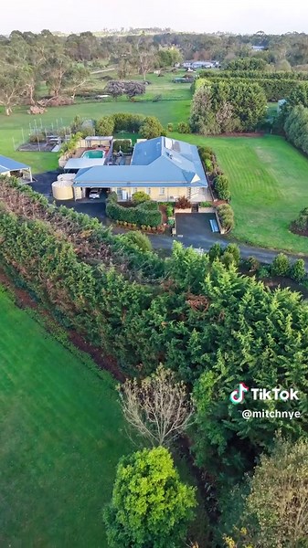 170m of cypress reductions made easy @DTS worlds best tree services @‘Bogen @Sennebogen NA @DJI Official #treework #satisfying #timelapse #fyp #buisness