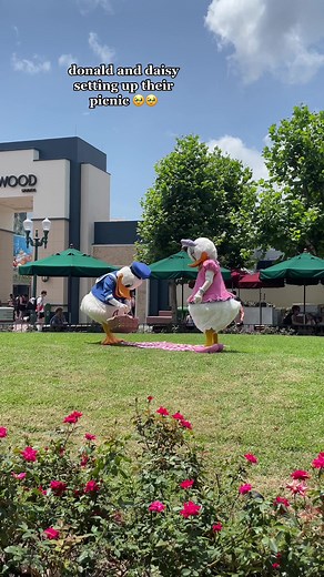 Adorable Donald and Daisy Duck Cartoon Picnic Setup