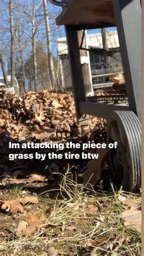 Melessa Morris on Reels