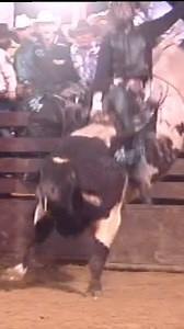 610 reactions · 18 shares | 92 points on Cat Daddy to win my first Texas PBR when I was 18 Weatherford Texas | Bonner Bolton | Facebook