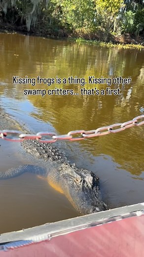 34K views · 1.1K reactions | Yes, that’s me screaming. Why weren’t more people screaming?!? | Honest 2 Betsy | Facebook