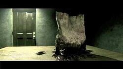 P.T.