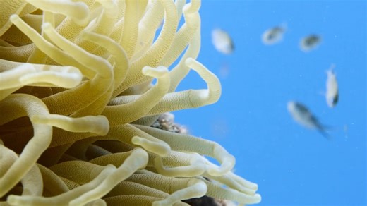 [Big history for kids] Part2: How life emerged on earth