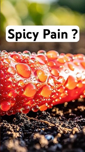 Spicy Is Pain… So Why Do We Love It?