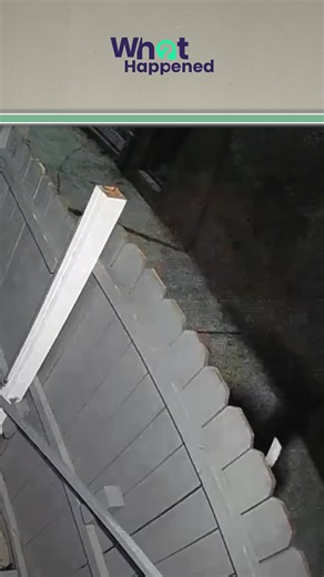 17K views · 109 reactions | Miami High-Rise Resident Ambushed Inside Her Own Building | What Happened | Facebook