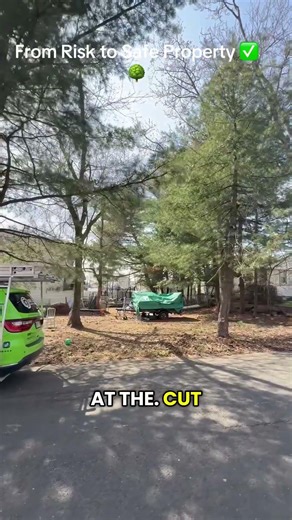 24/7 Emergency Tree Removal in Edison NJ | Fast Storm Damage Response