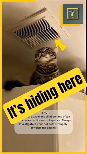 Giant Snake Breaks Through CEILING! 🐍😱 Cat Saved Just in Time (Simulation)