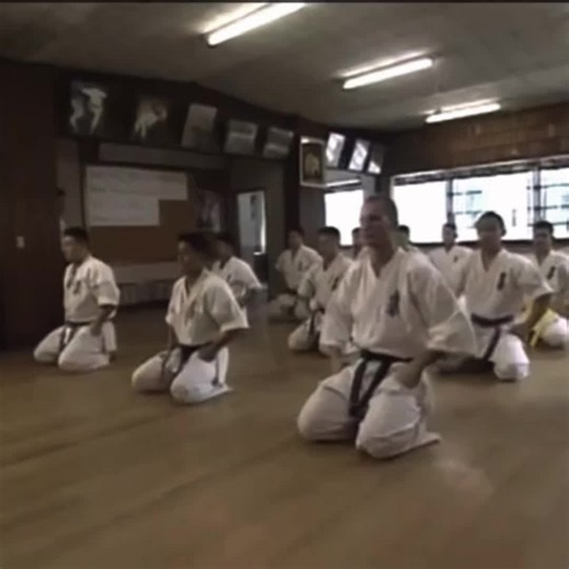 Kyokushin Karate Basics: Core Principles and Training