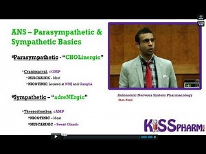 Autonomic Nervous System Pharmacology Lecture. The best way to learn Pharm by KISSPharm