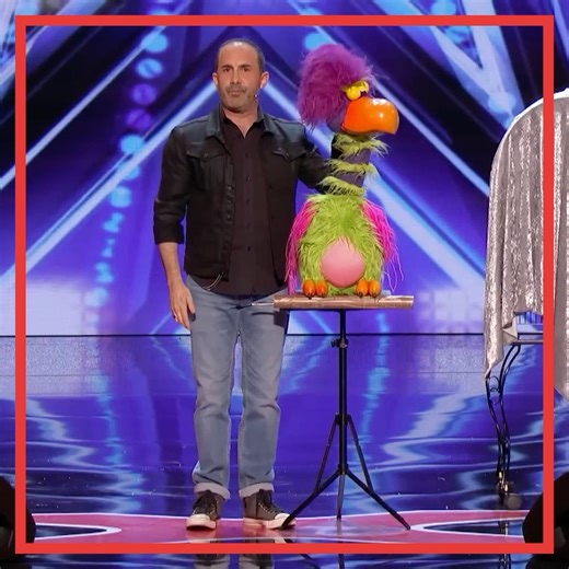 1.5M views · 24K reactions | America's Got Talent Contestant POOPS On Stage! | Amazing Auditions | Facebook