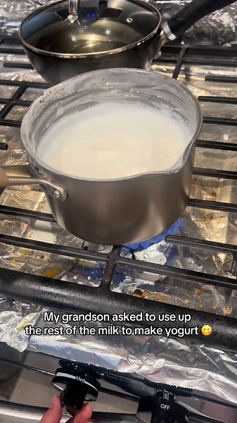 Homemade Dahi: Simple Steps to Make Yogurt