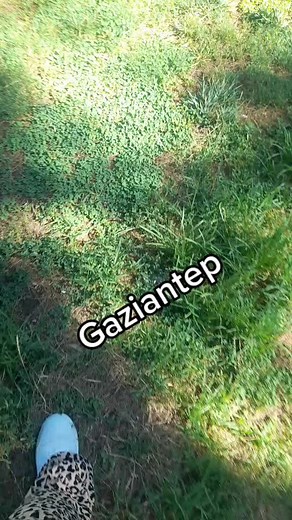 Elif.34.27 (@elif.34.27) adlı kullanıcının ile oluşturduğu videoları