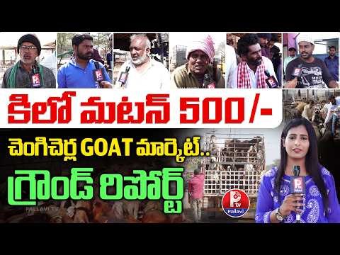 Chengicherla Goat Market 2026 Full Tour | Prices, Breeds & Business Insights | Pallavi TV