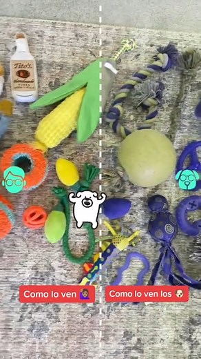 995K views · 74K reactions | Sigamos aprendiendo juntos como educar a tu perrito de forma fácil y respetuosa   ❤️ #mascotas #perromestizo #adiestramientocanino #educacióncanina #obedienciacanina #escuelacanina #perroeducado #mascotaeducada #MascotaFeliz #escuelaparaperros #dogschool #trucosparaperros #perros #entrenarperro #ansiedadcanina #amorporlosanimales #dogtrainer #trucoscaninos #obedienciabasica Créditos TikTok adiestramiento.positivo1 | Educa a tu perrito | Facebook