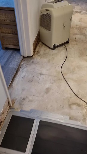 Water Damage Investigation and Leak Detection