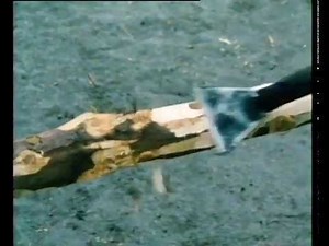 Leitermachen auf der Fegebank