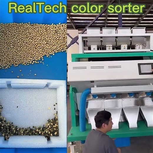 Soy Beans Color Sorter#machine #factory