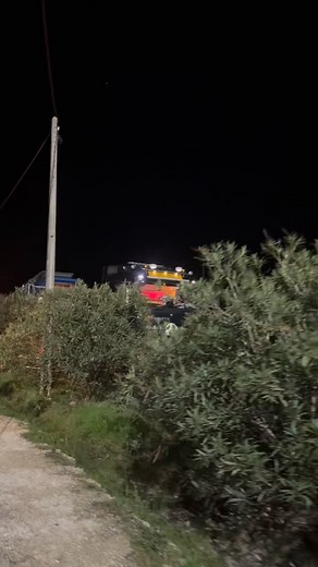 321 reactions | Special Truck  | OKAPI - Parque TIR/ TRUCK Park | Facebook