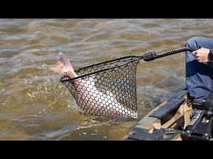 Kayak Fishing Must Haves - YakAttack Leverage Landing Net