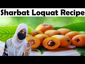 Sharbat Loquat Recipe by Village Chef Kitchen || Sharbat Loquat Recipe