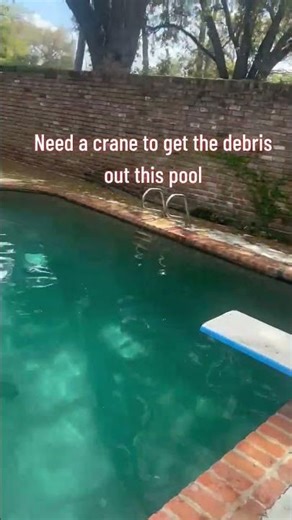 You got pool problems. #poolguy #pool #poolcleaning