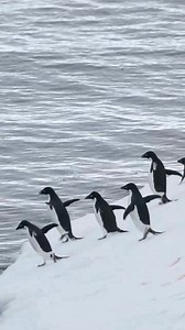 13K views · 46 reactions | Jumping into a new week  | Howstuffworks | Facebook