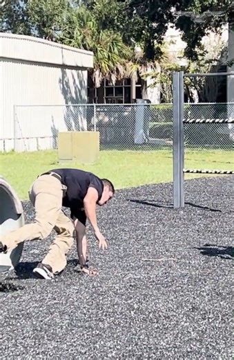 3.2K views · 45 reactions | The Washington Examiner took part in an all-day tour of the 5,400-acre Federal Law Enforcement Training Center on Thursday, accompanied by acting ICE Director Todd Lyons. #ICE #immigration #illegalimmigration #training #lawenforcement #deportation #georgia #crime #TrumpAdministration | Washington Examiner | Facebook